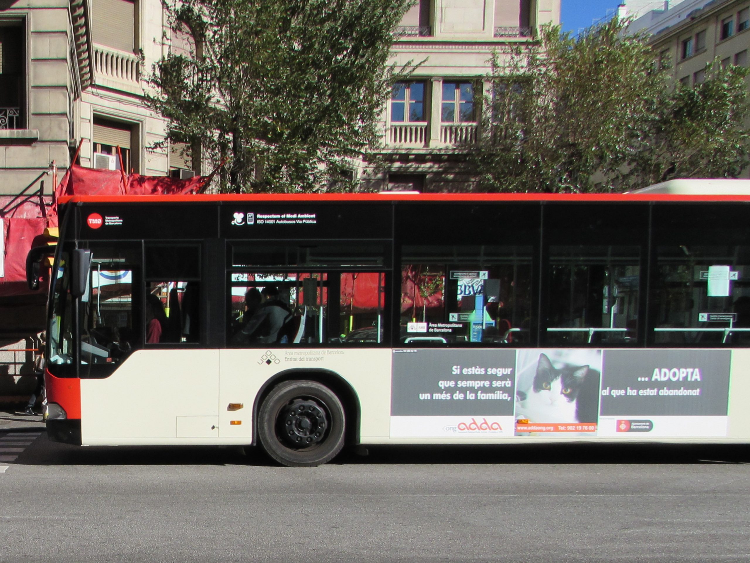 Bus barcelona